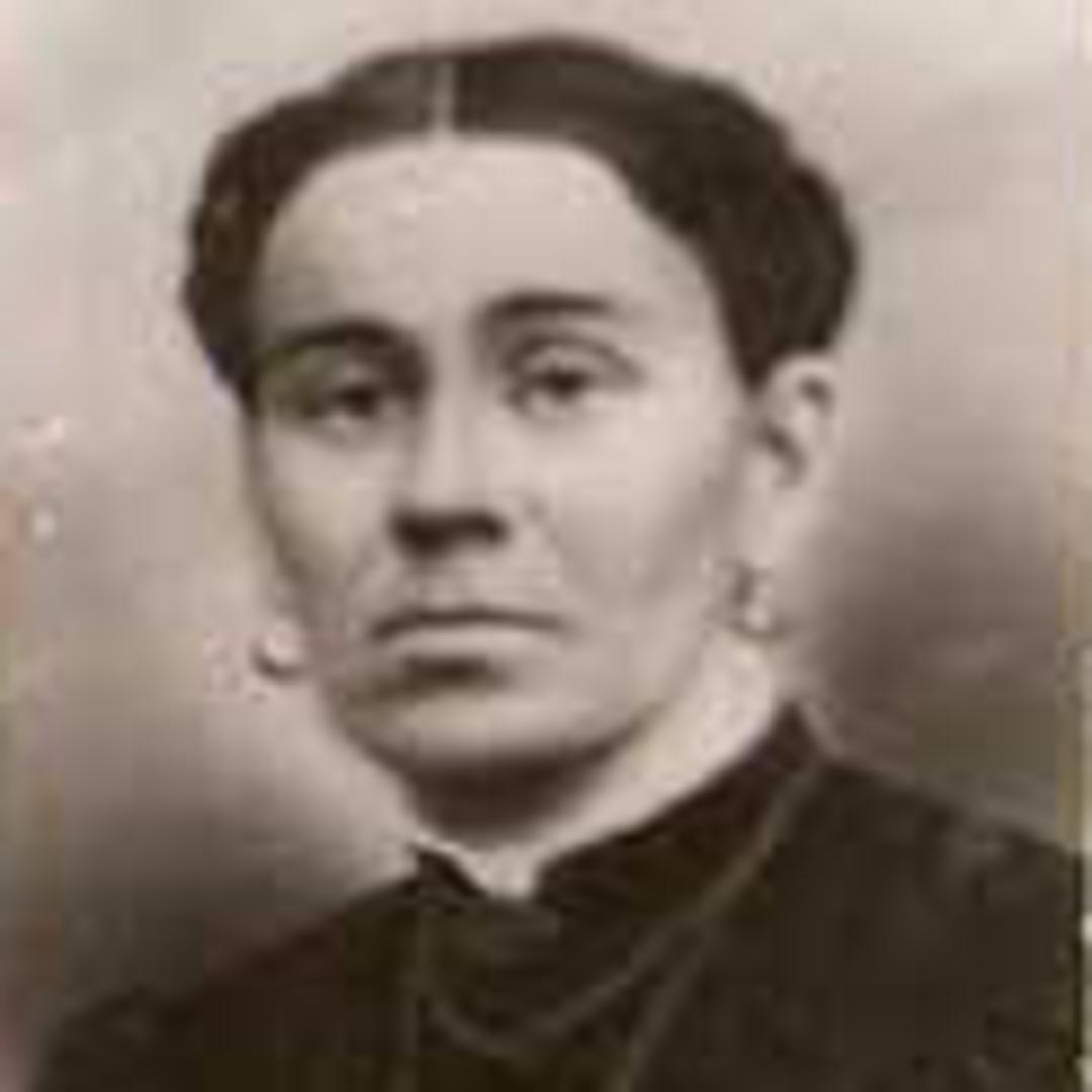 Fanny Marilla Garner (1844 - 1940) Profile